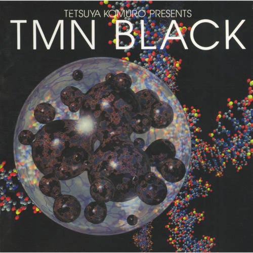 Tetsuya Komuro Presents TMN black