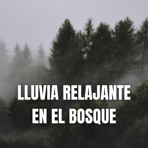 Lluvia Relajante en el Bosque