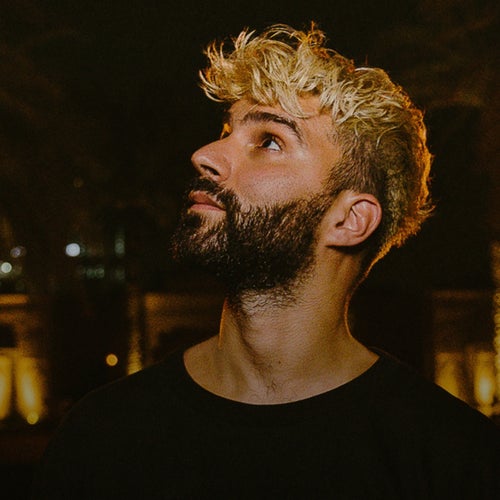 R3hab Profile