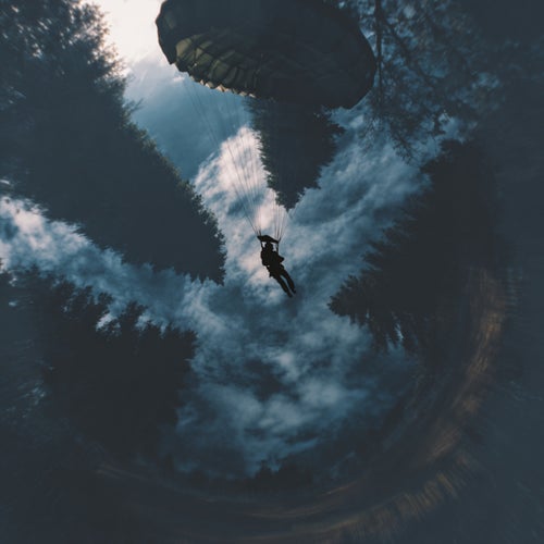 Fly