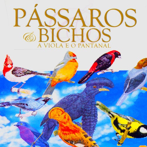 Pássaros & Bichos: A Viola e o Pantanal