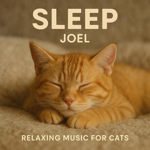 Sleep