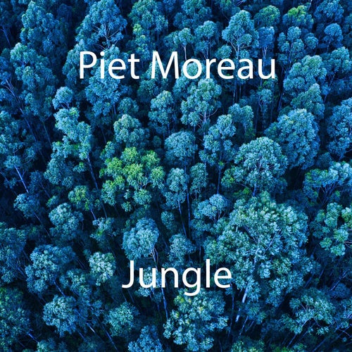 Jungle