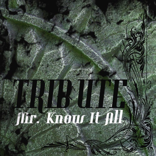 Mr. Know It All (Kelly Clarkson Tribute) - Single