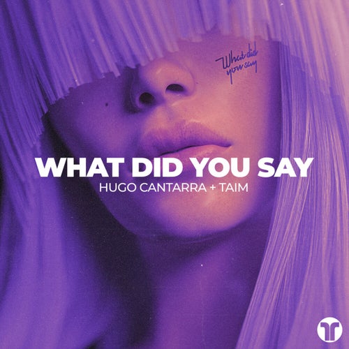 What Did You Say (Extended Mix)
