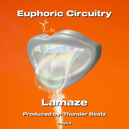 Euphoric Circuitry