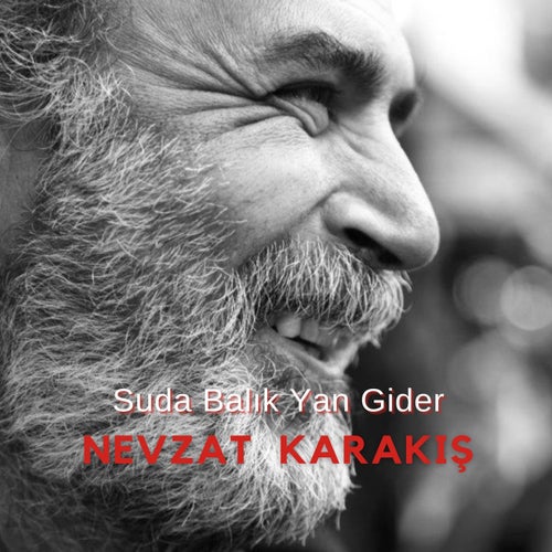 Suda Balık Yan Gider