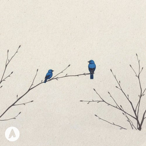 bluebirds