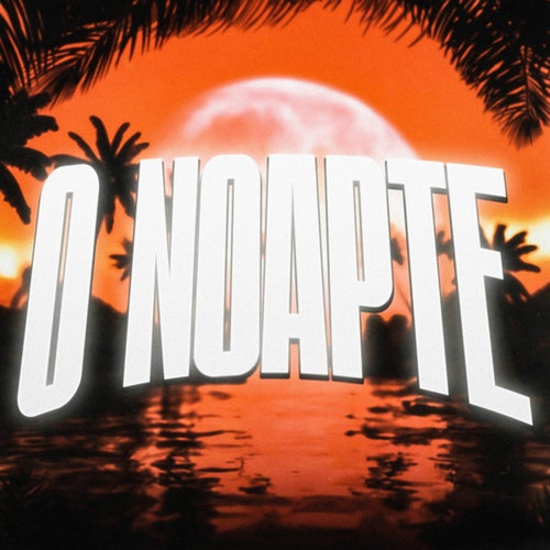 O Noapte