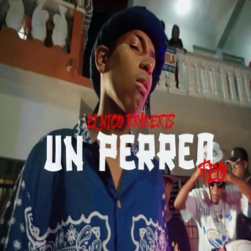 Un perreo feo
