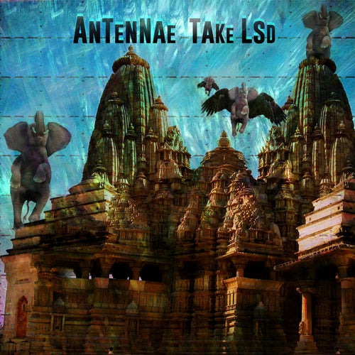 Take LSD