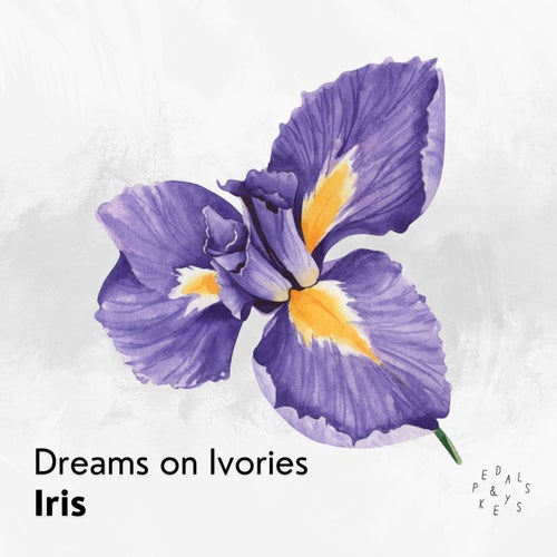 Iris (Piano Version)