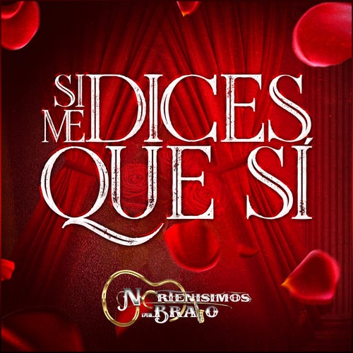Si Me Dices Que Sí