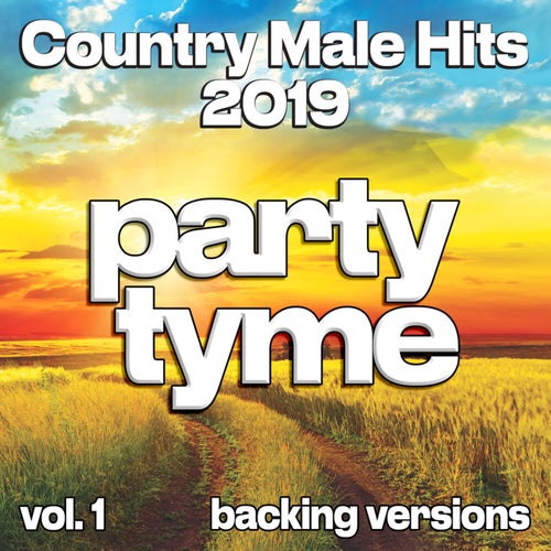 Country Male Hits 2019, Vol. 1 (Backing)