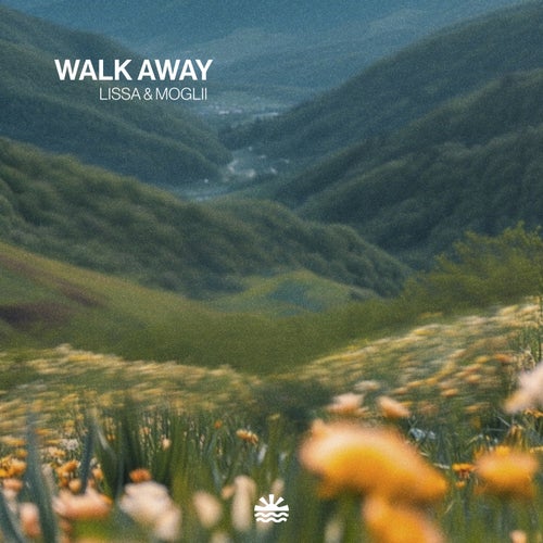 Release of the week