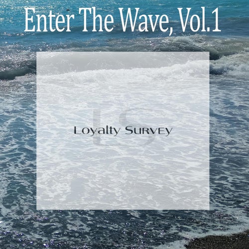 Enter The Wave, Vol.1