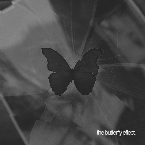 The Butterfly Effect (Intro)