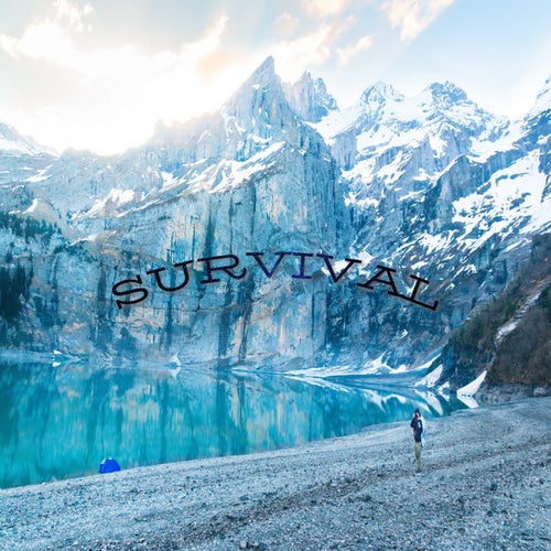 Survival