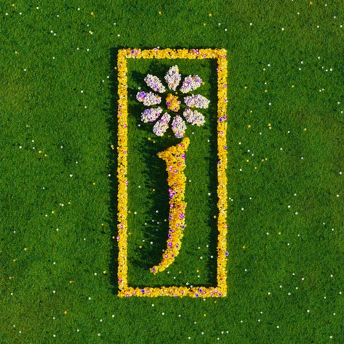 Sit Down (7" Rough Trade Version)