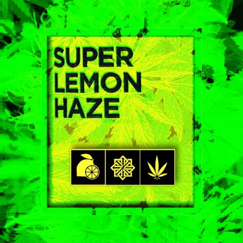 Super Lemon Haze