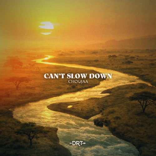 Can't Slow Down (Extended Mix)