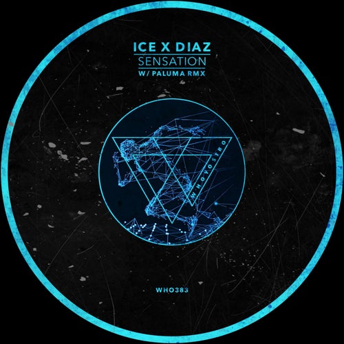 Sensation (w/ Paluma Rmx)
