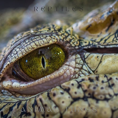 Reptiles