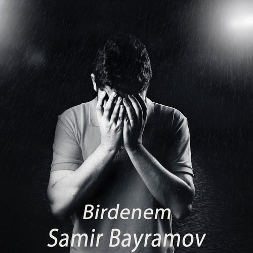 Birdenem