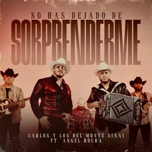 No Has Dejado De Sorprenderme