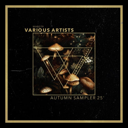 Autumn Sampler 25'