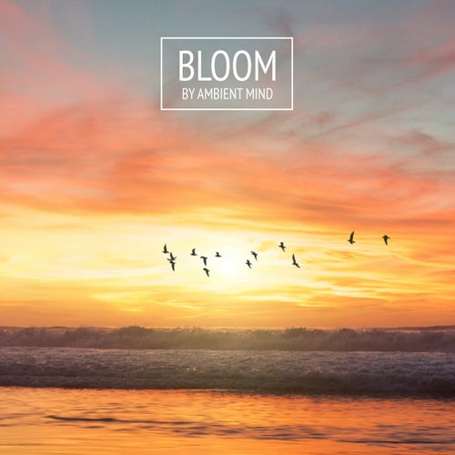 Bloom