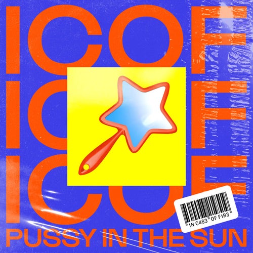 Pussy In The Sun