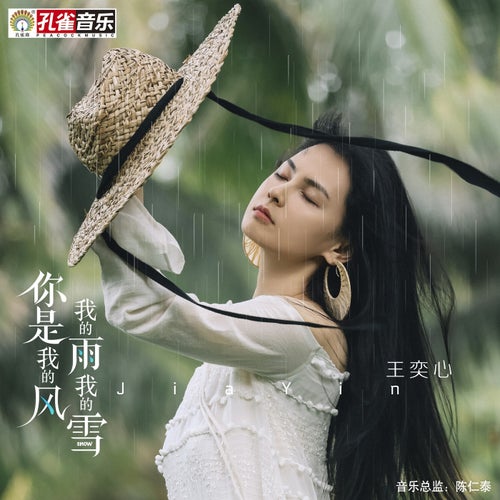 你是我的風我的雨我的雪