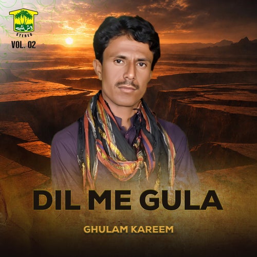 Dil Me Gula, Vol. 02