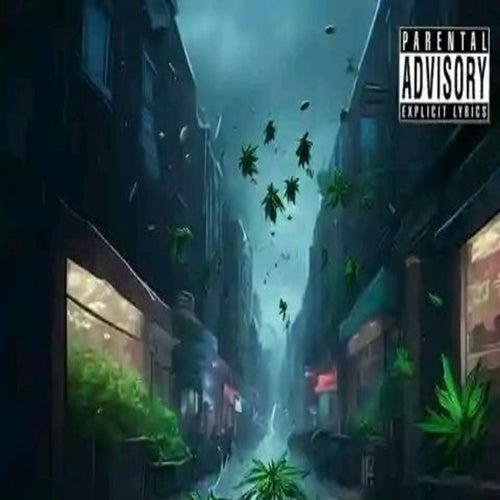 Release of the week