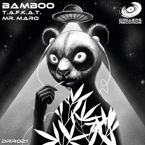 Bamboo