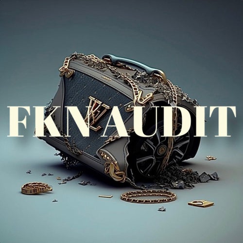 FKN AUDIT