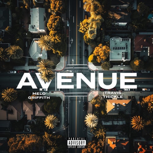 Avenue