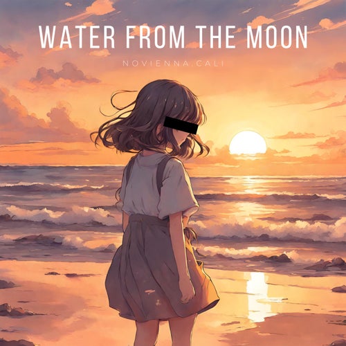 Water from the Moon