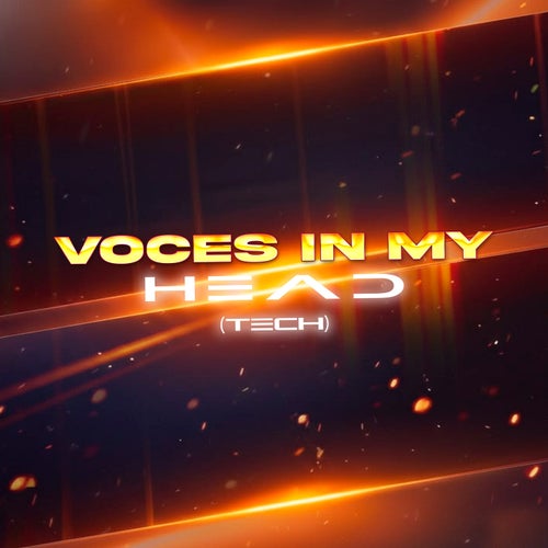 Voices In My Head (Tech)