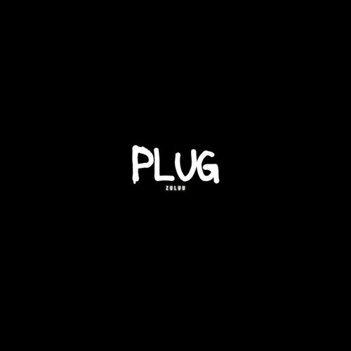 Plug