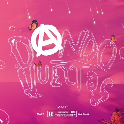 DANDO VUELTAS