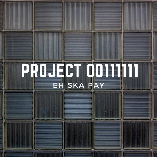 Project 00111111