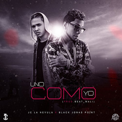 Uno Como Yo