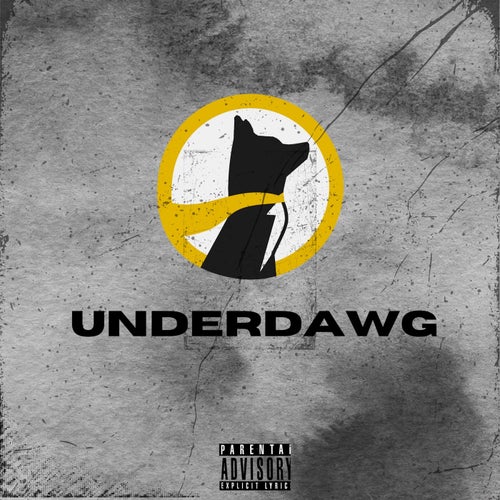 UNDERDAWG