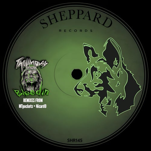 Bleedin (feat. Benz0)