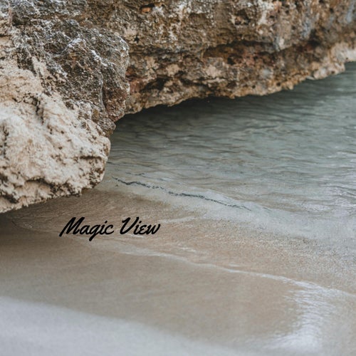 Magic View