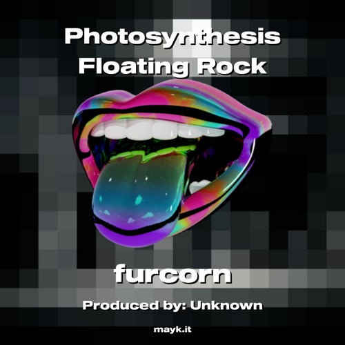 Photosynthesis Floating Rock