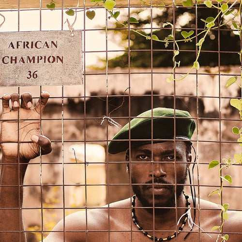 AFRICAN CHAMPION 36