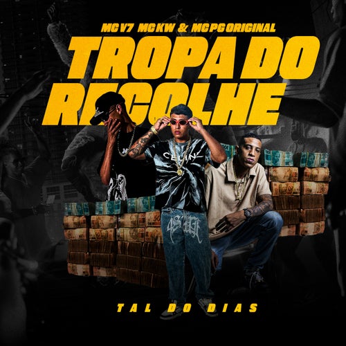 Tropa do Recolhe